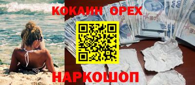 сатива Малгобек
