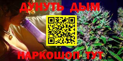 сатива Малгобек