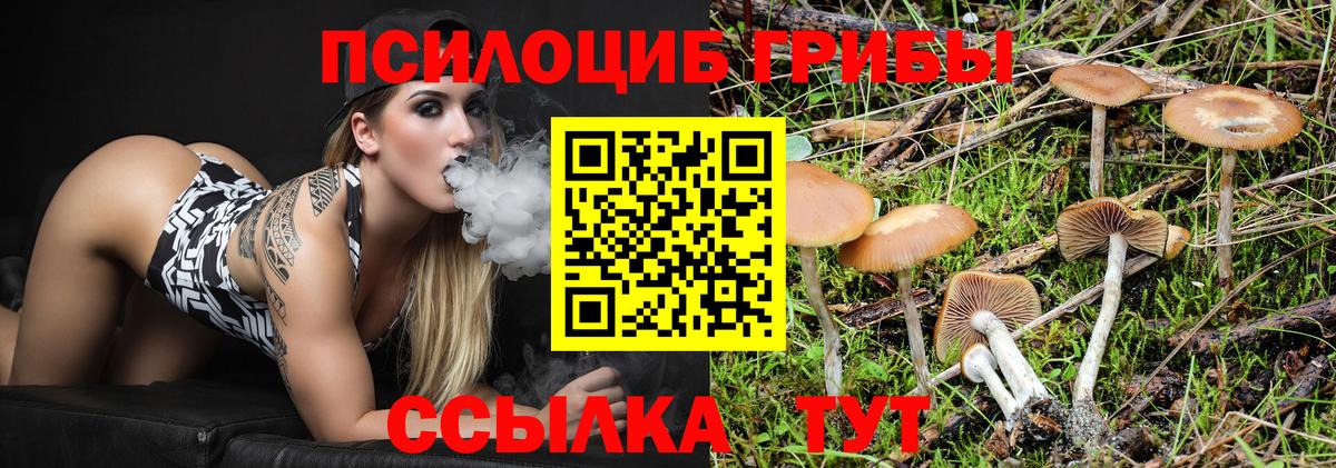 Псилоцибиновые грибы GOLDEN TEACHER  Вход с VPN  Галлюциногенные грибы Psilocybine cubensis  Избербаш 