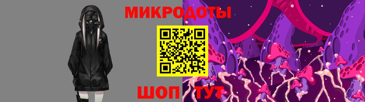 Псилоцибиновые грибы Cubensis Избербаш